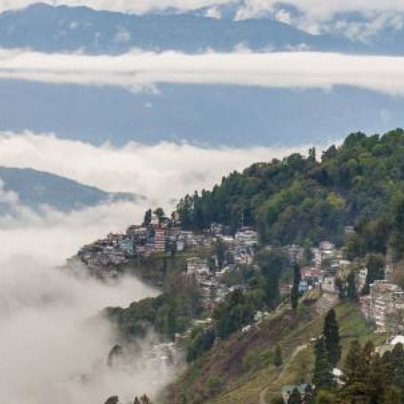 darjeeling